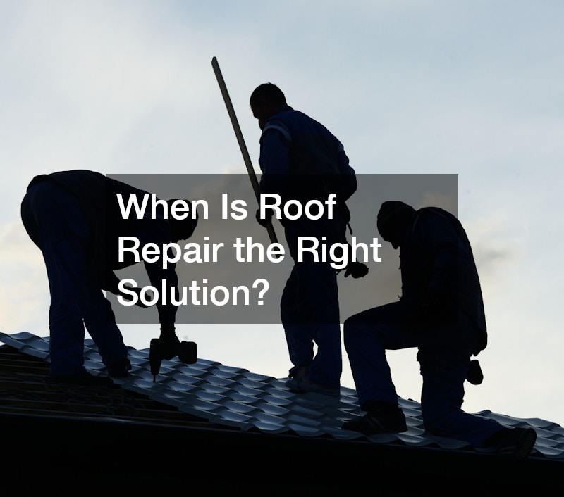 silhouette of roofers