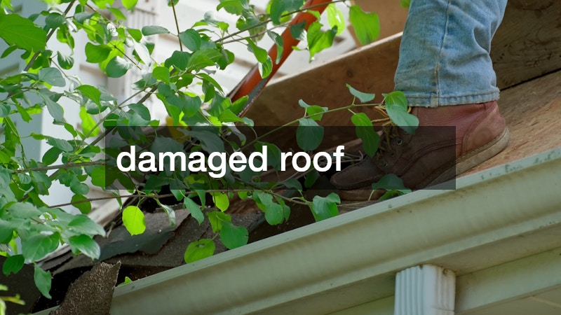 damaged roof