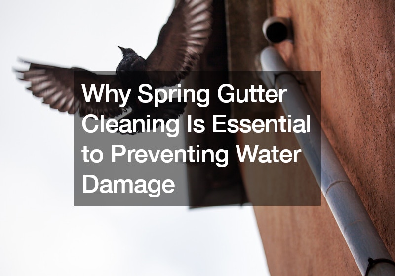 Why Spring Gutter Cleaning Is Essential to Preventing Water Damage