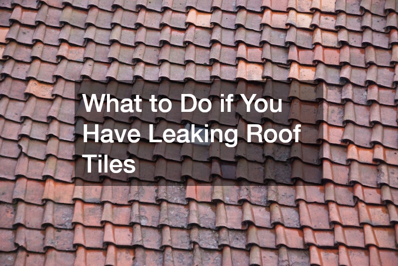 What to Do if You Have Leaking Roof Tiles